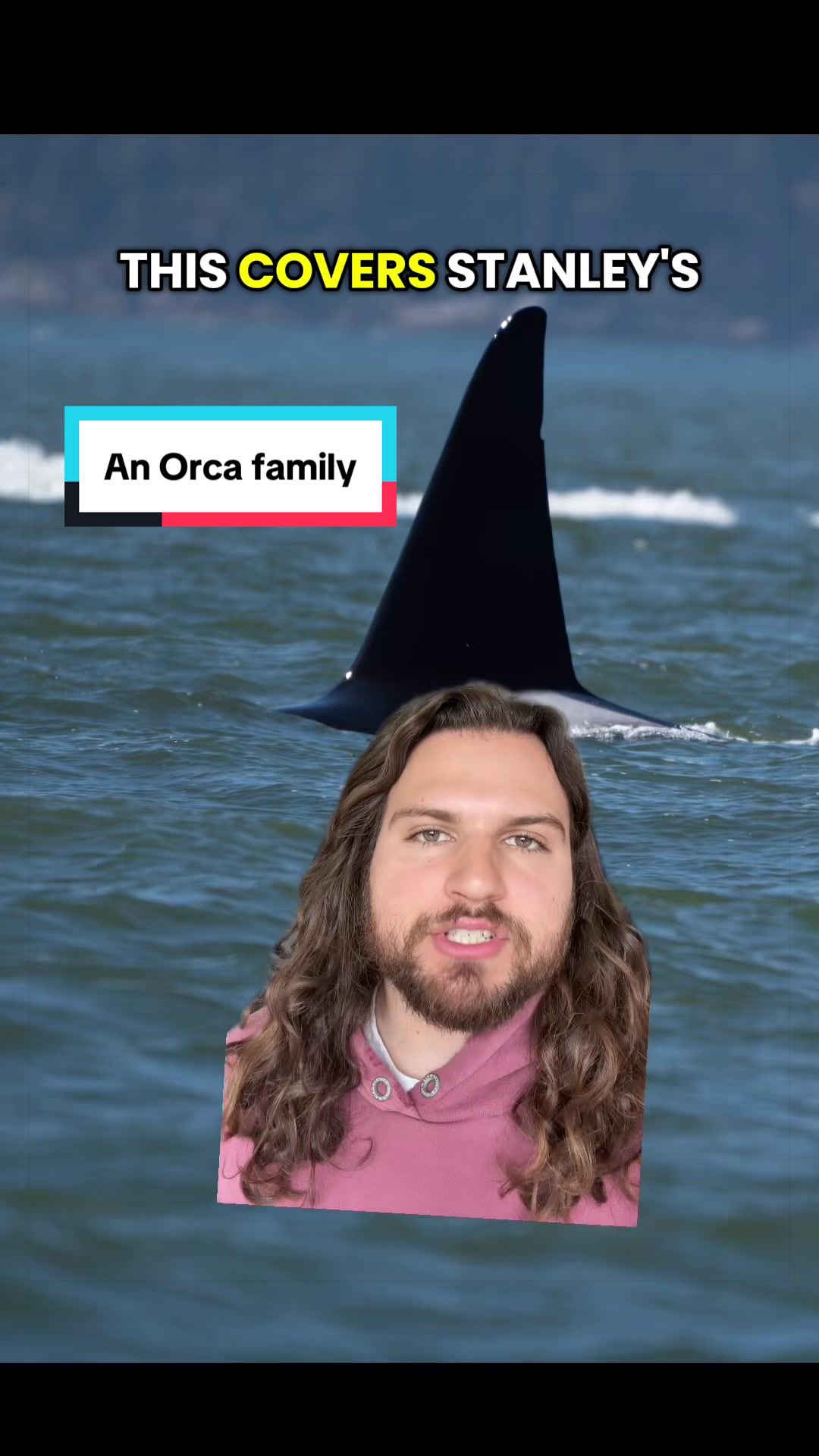 @The Orca Man