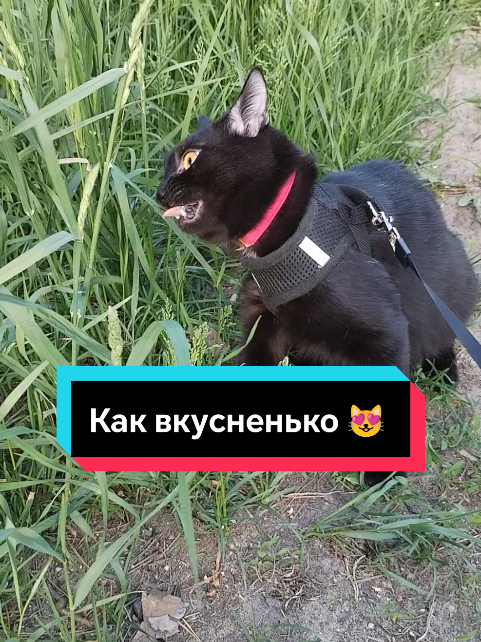 @MariNk@