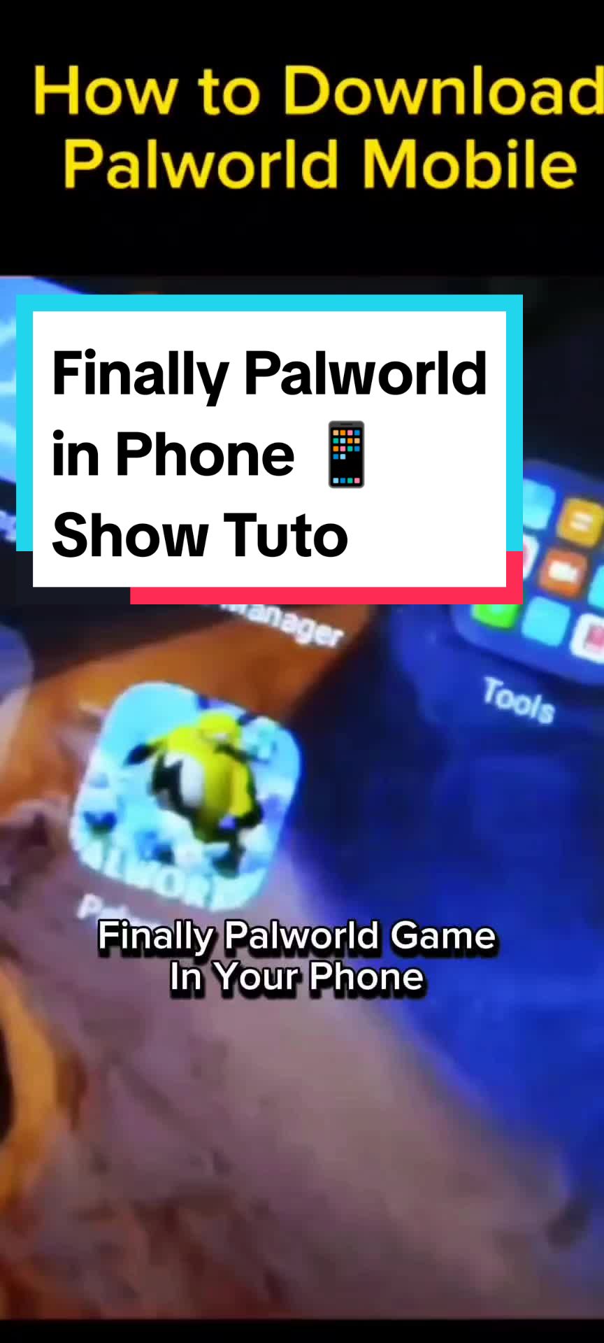 @palwordapk
