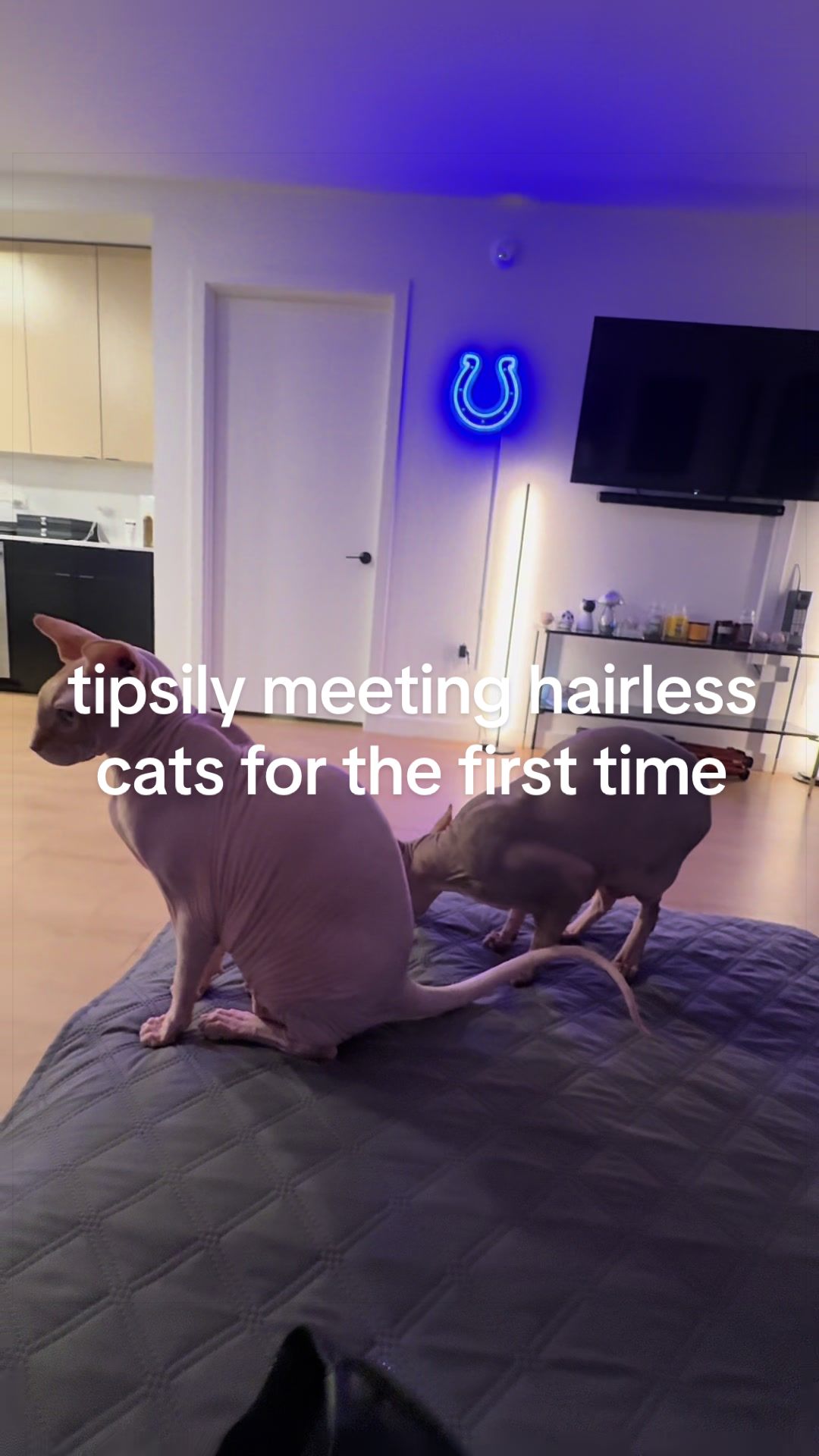 @thatgirljaq