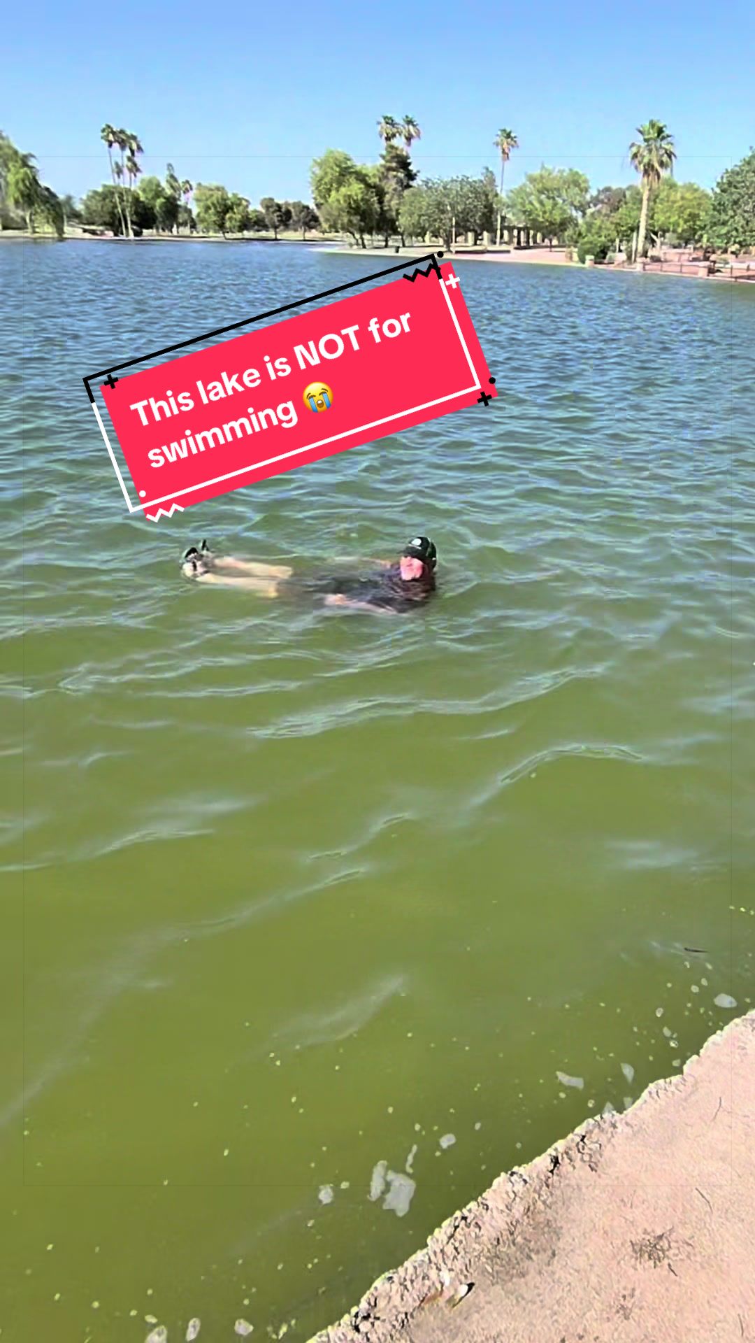 @Found in Phoenix POV Guy