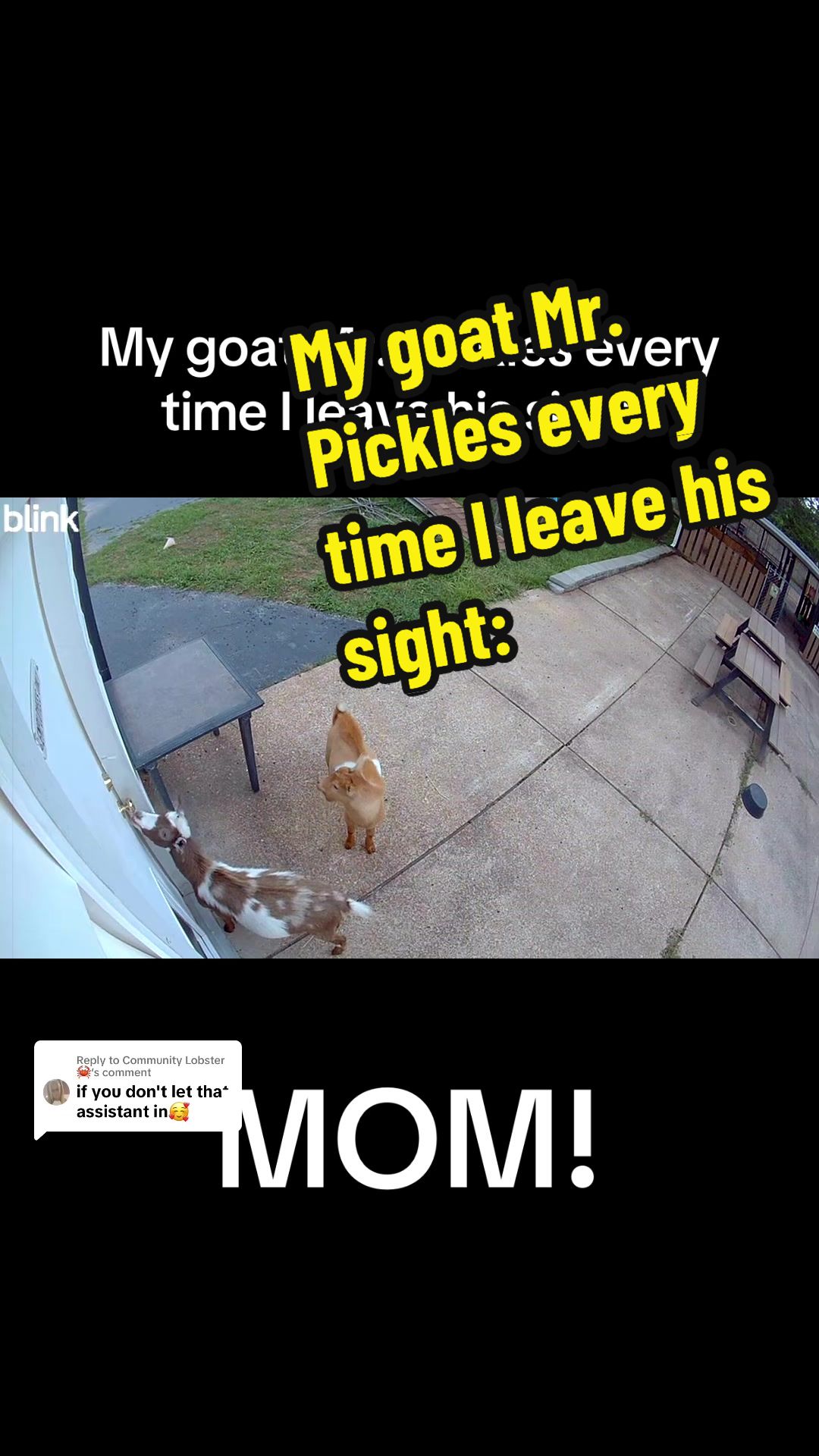 @KidsOnKerth 🐐 Hannah 💀🎃👻