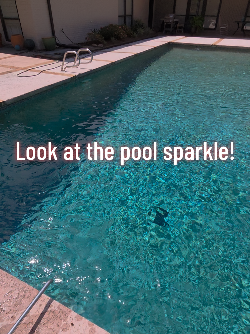 @Rex | BR Pool Pro