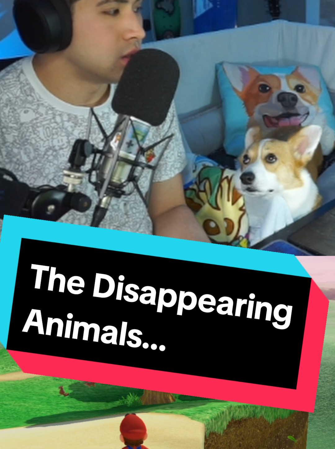 @Protocorg | Twitch Streamer