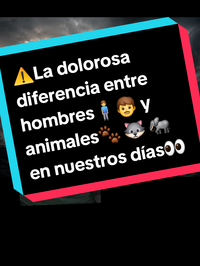 @Miguel S&aacute;nchez &Aacute;vila