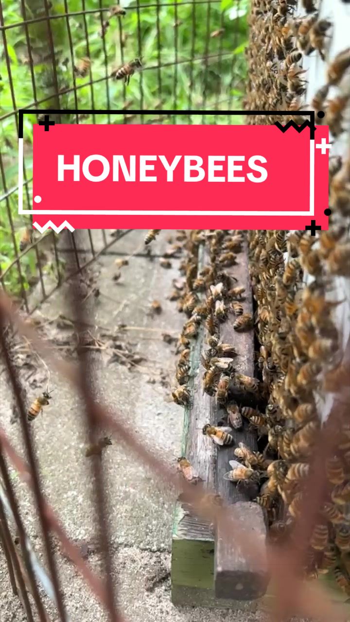 @DoctorBugz