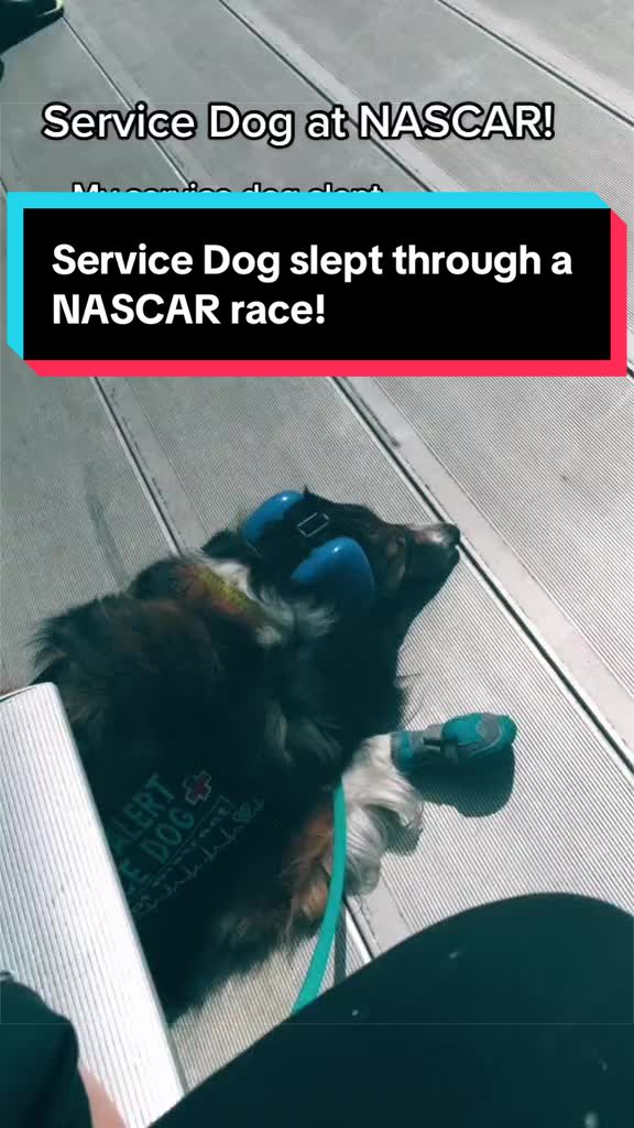 @Dakota & Pups