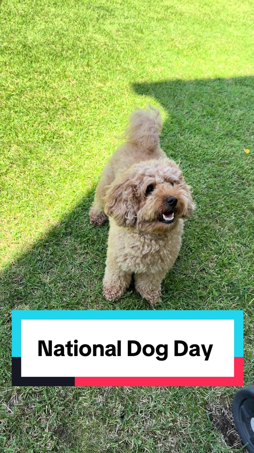@PattyLove BabyNova 🐾🎀🥰