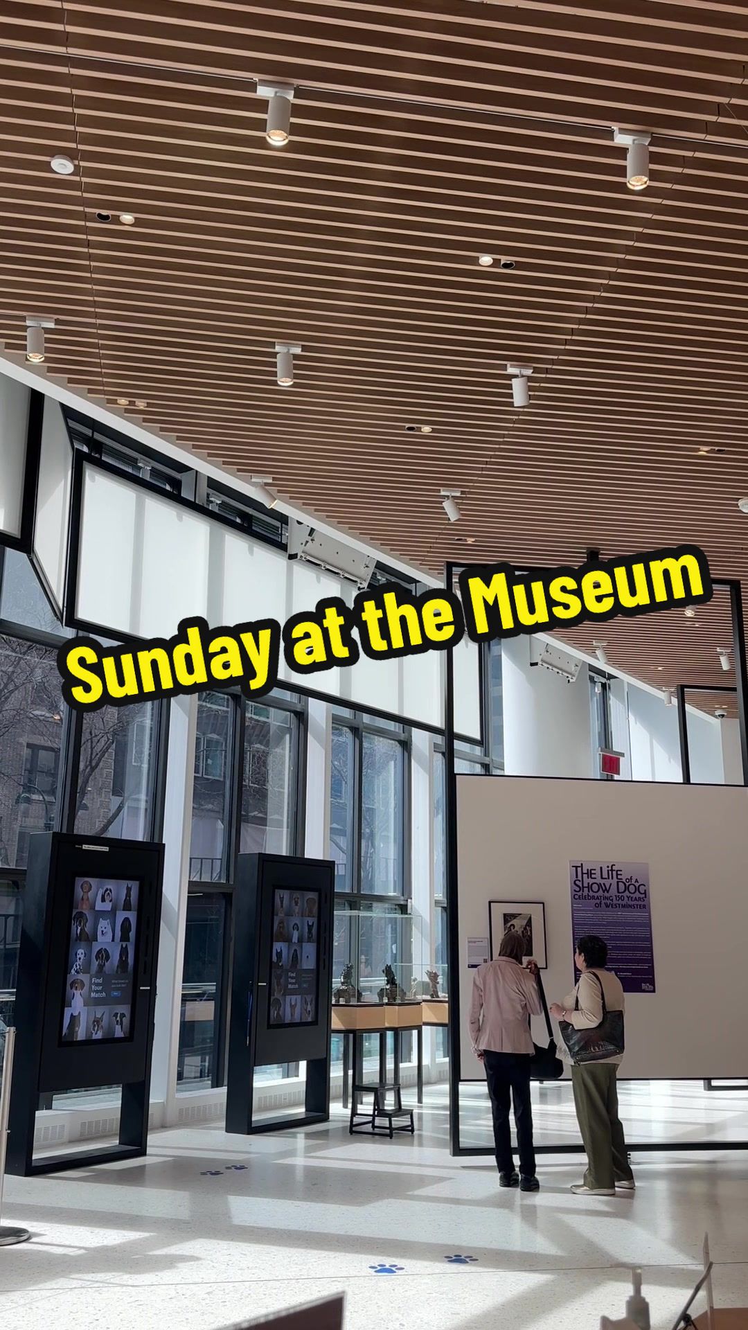 @AKC Museum of the Dog