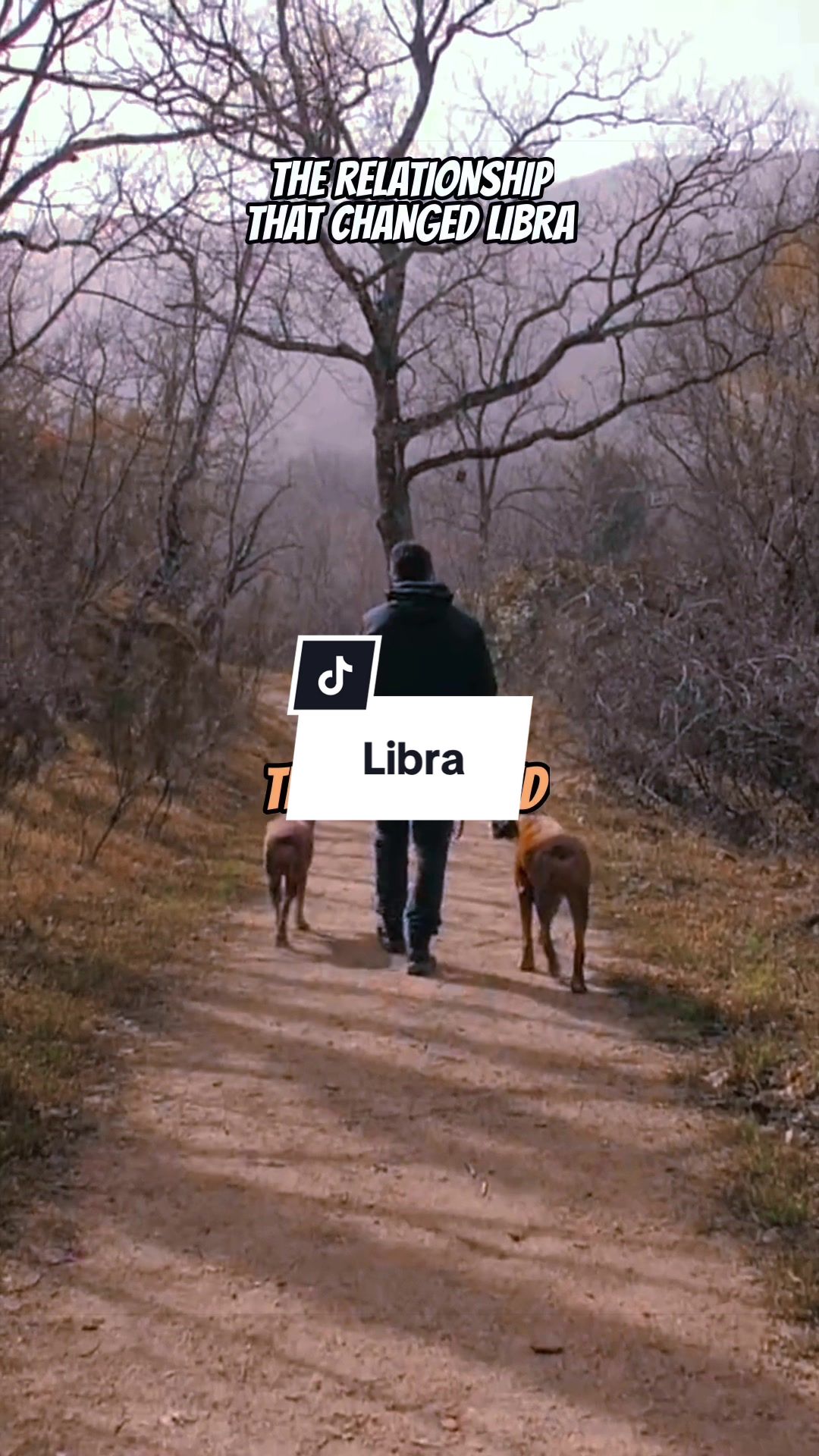@Zodiac Vibes