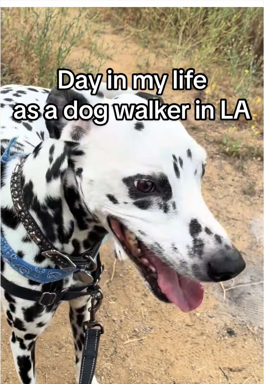 @fastnfuzzy