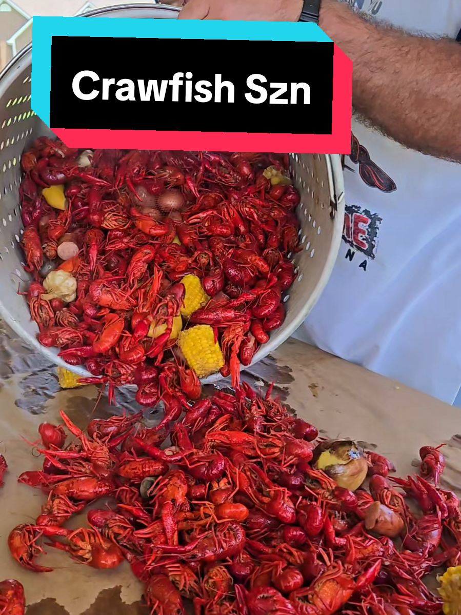 @Louisiana's Cajun Bayou