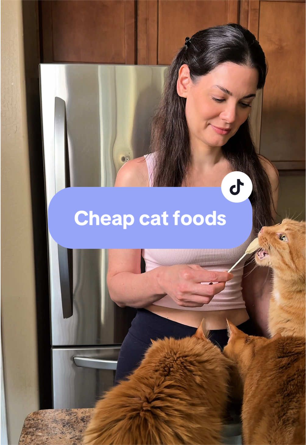 @Feminist Kitty | Cat Nutrition