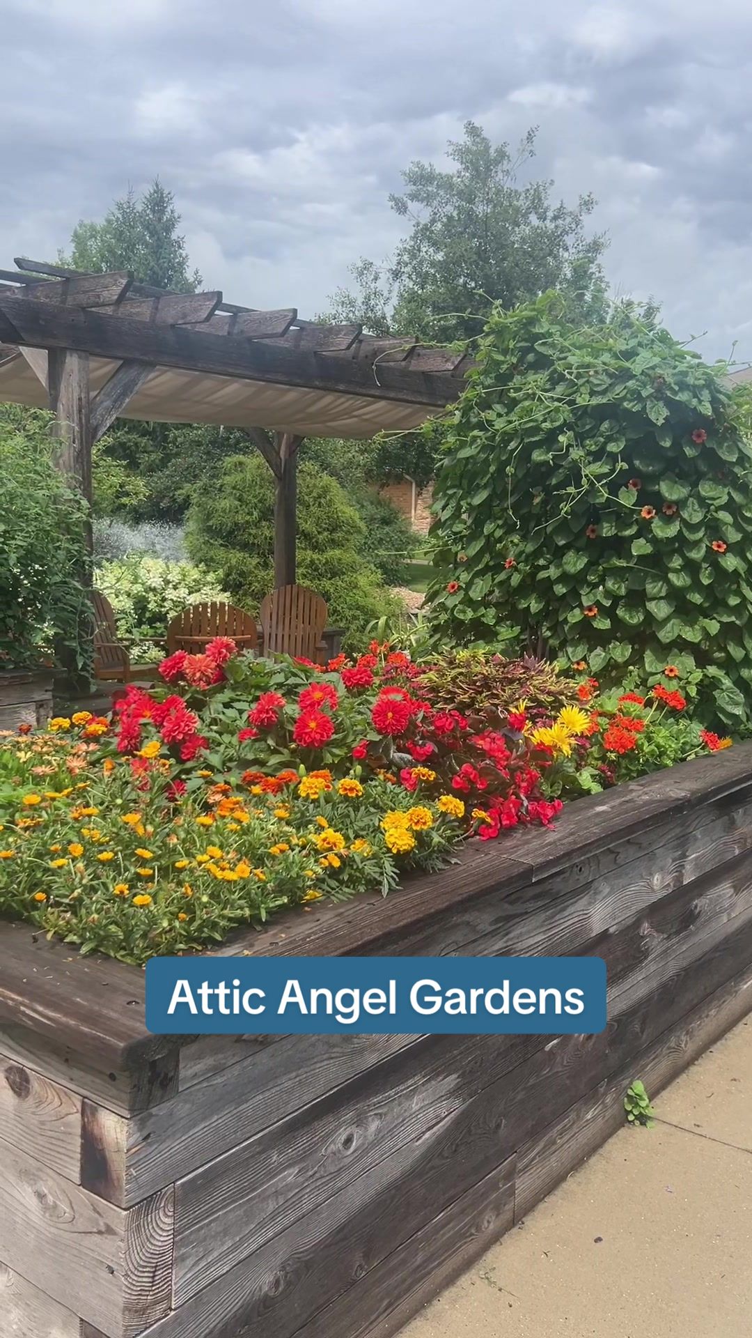 @Attic Angel
