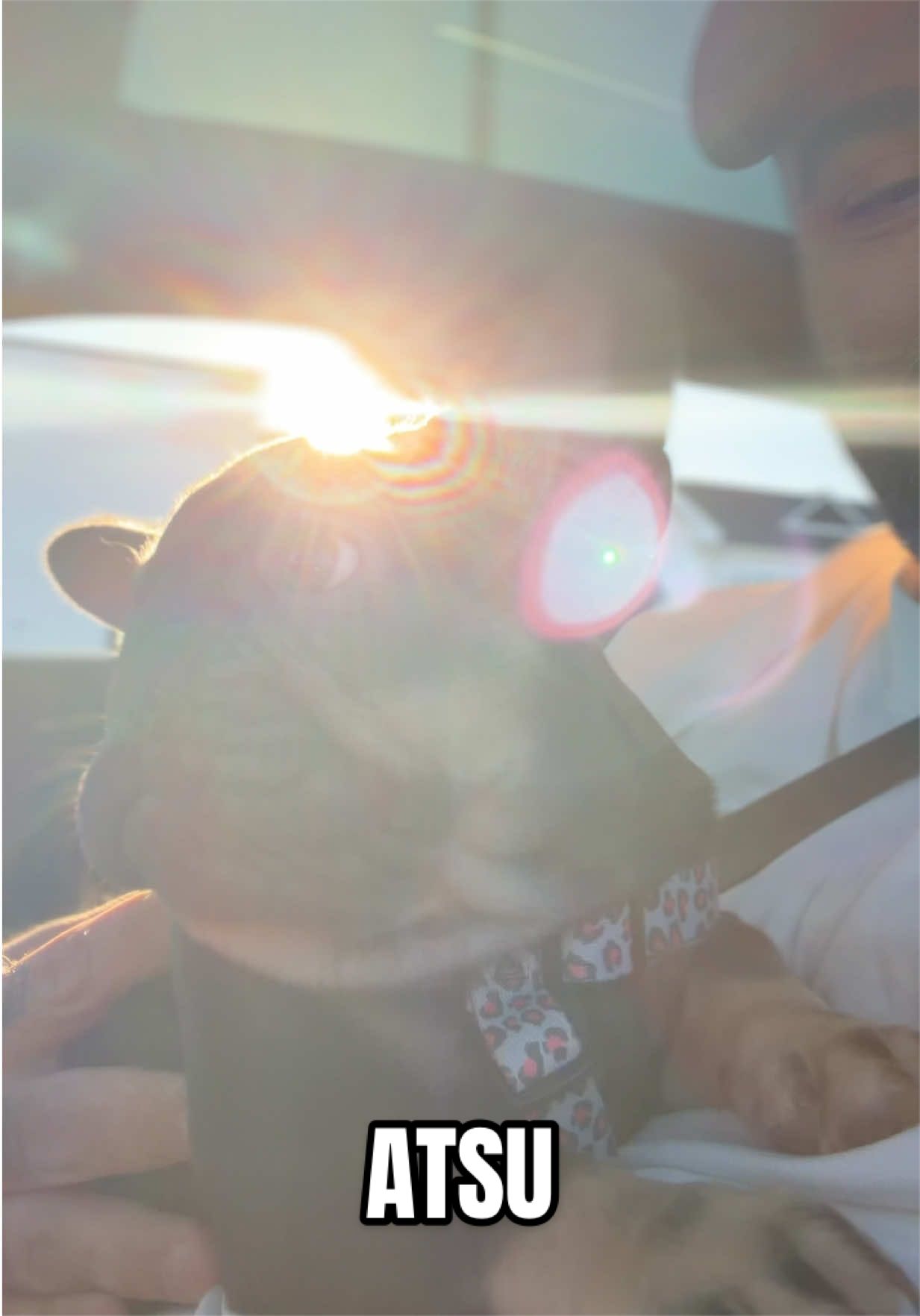 @Frenchiecvlt