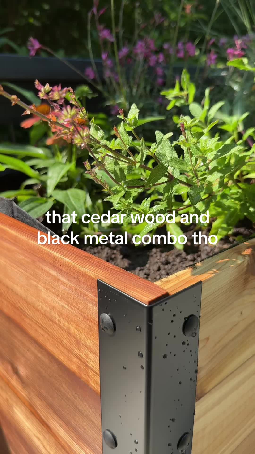 @The Ever Hopeful Gardener