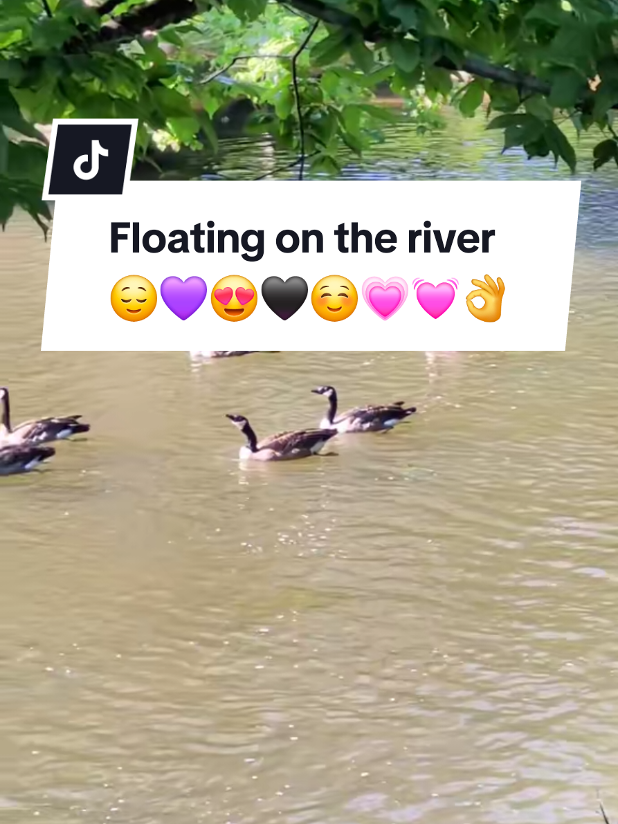 @🦆Duckville🦆