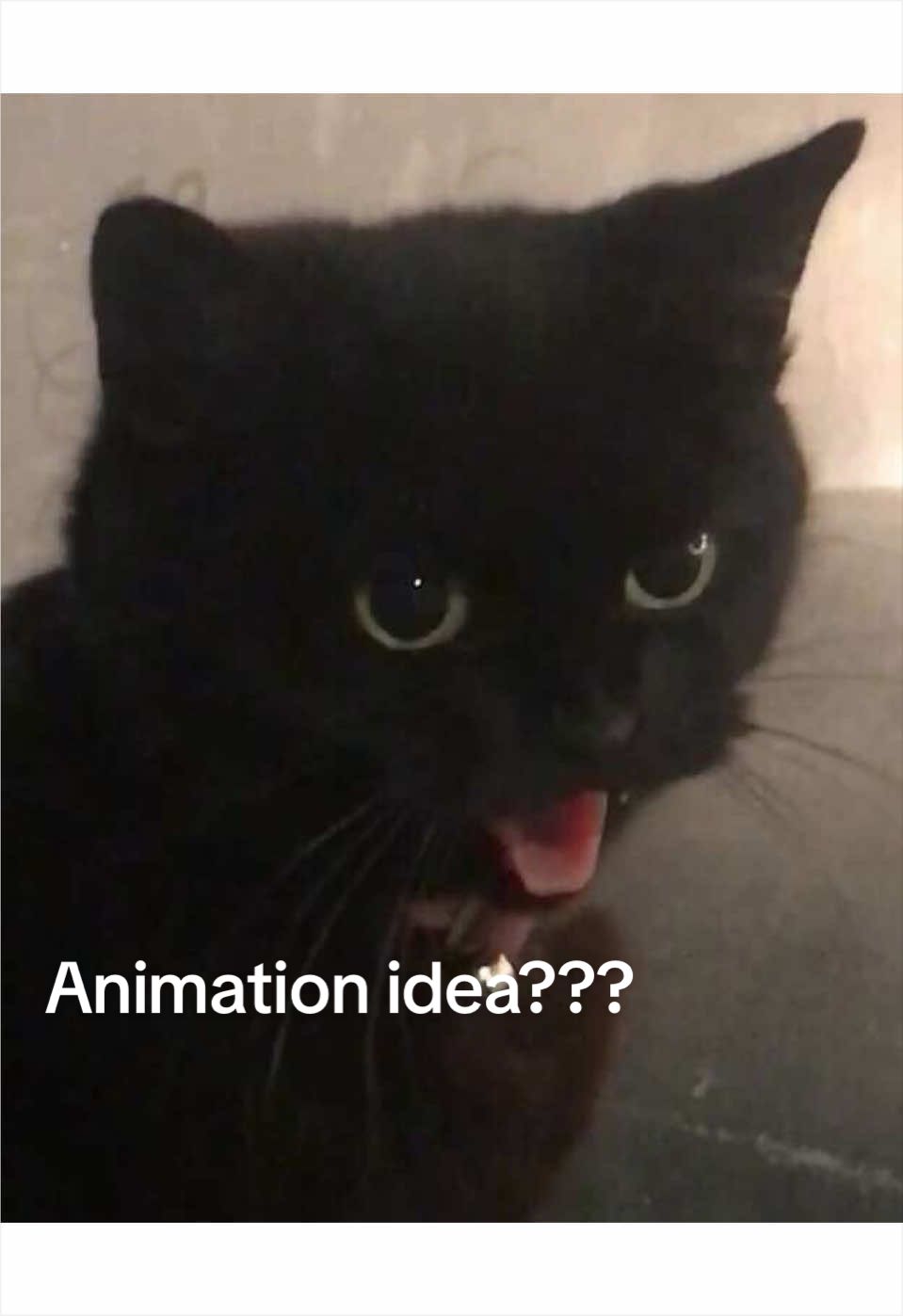 @☆ 𝙺𝚊𝚕𝚒 ☆