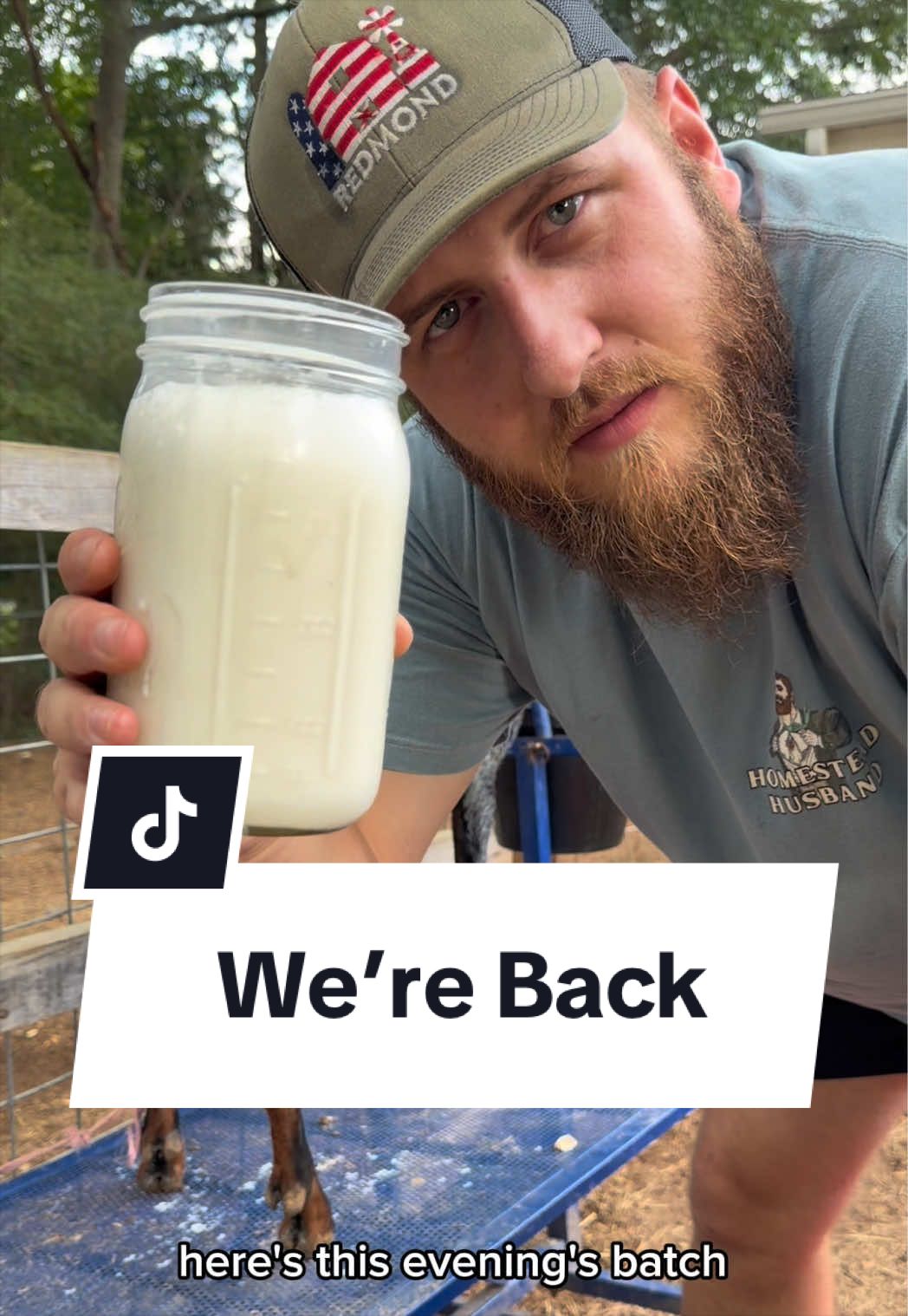 @Bandrhomestead