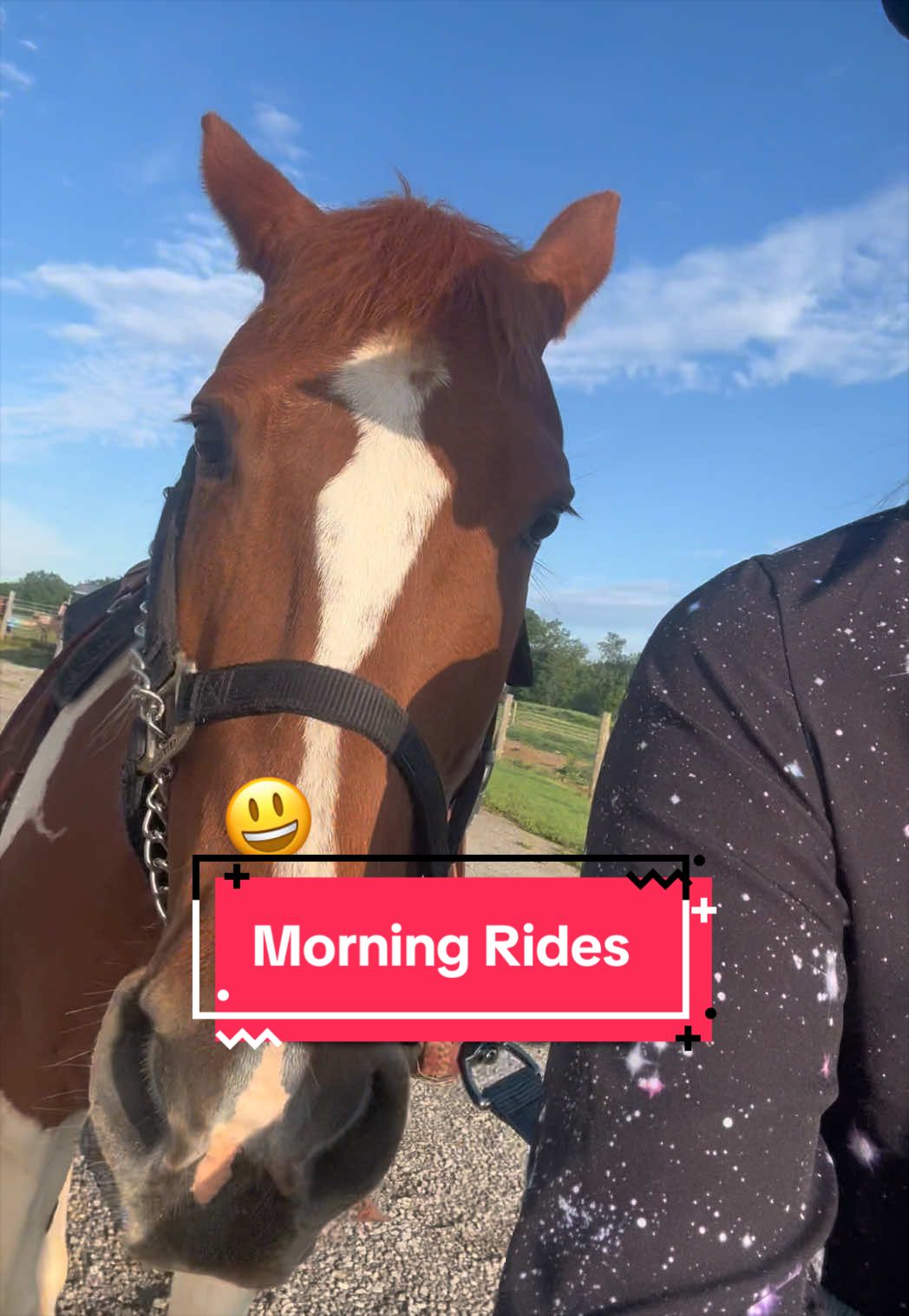 @yourhorseandponyleader