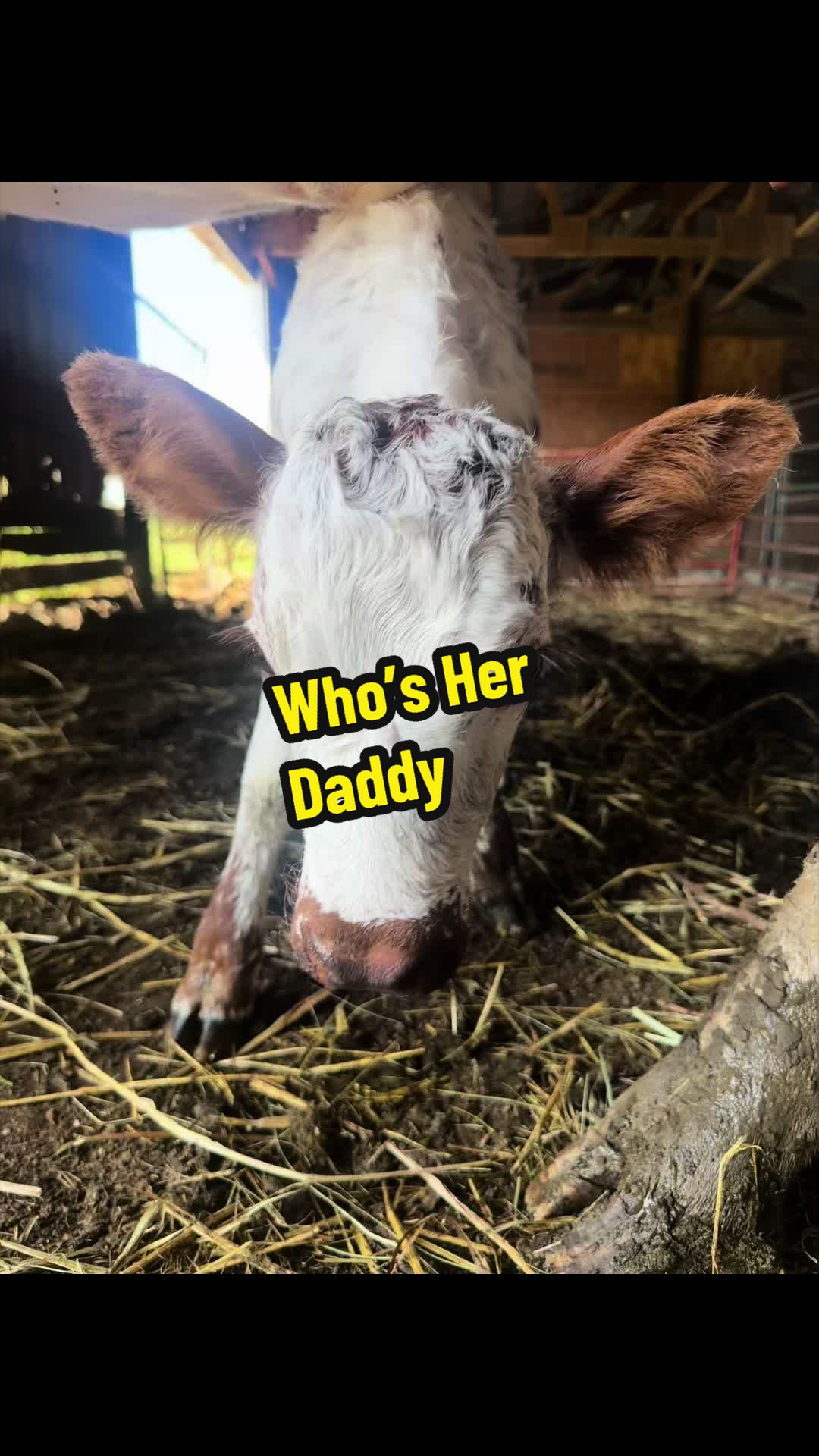 @MISSY & Her Farmer