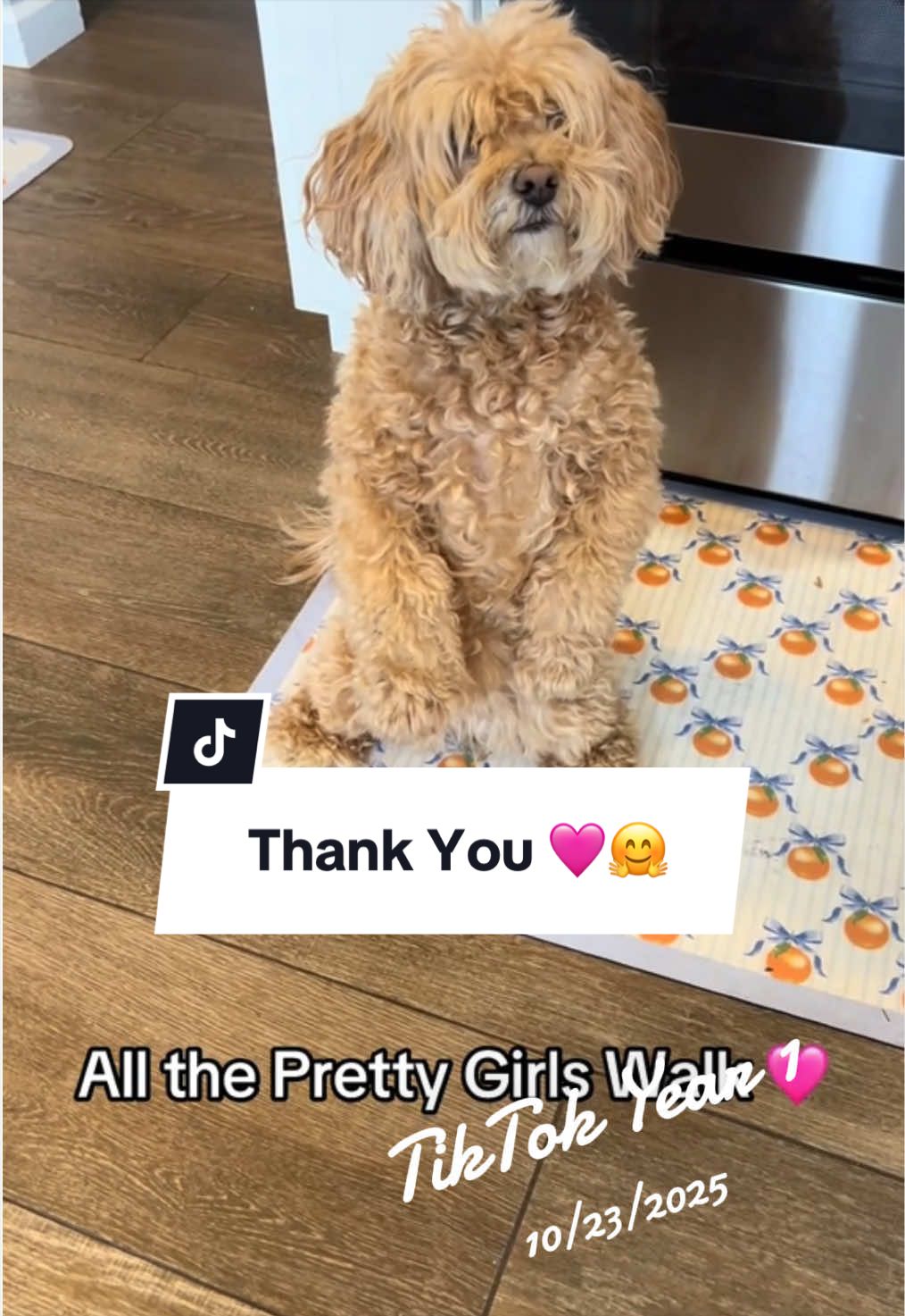 @ChloeCaboodleDoodle