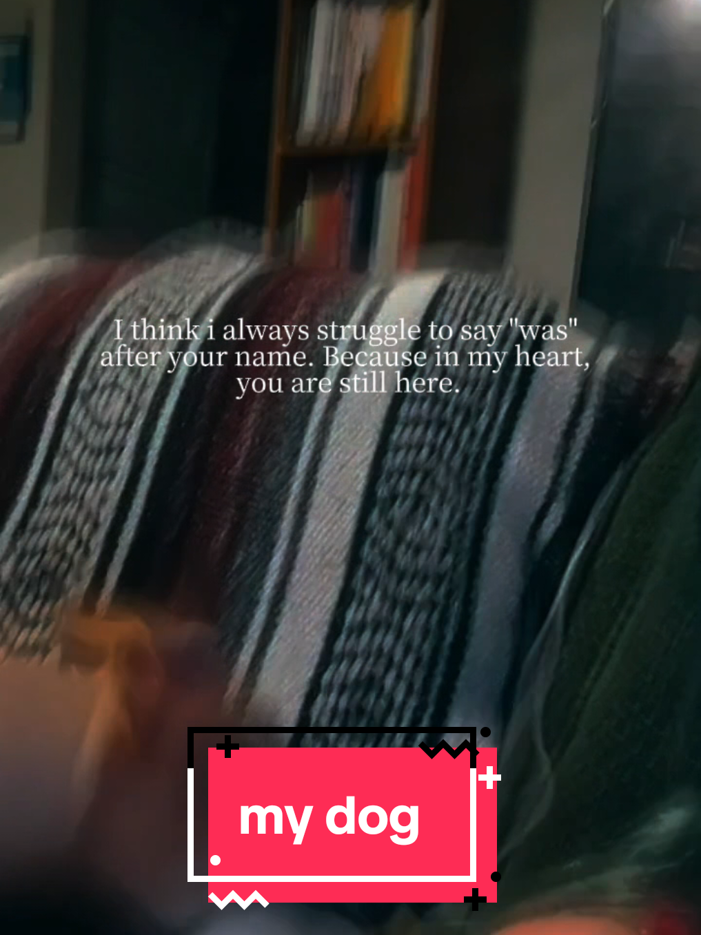 @Toastie