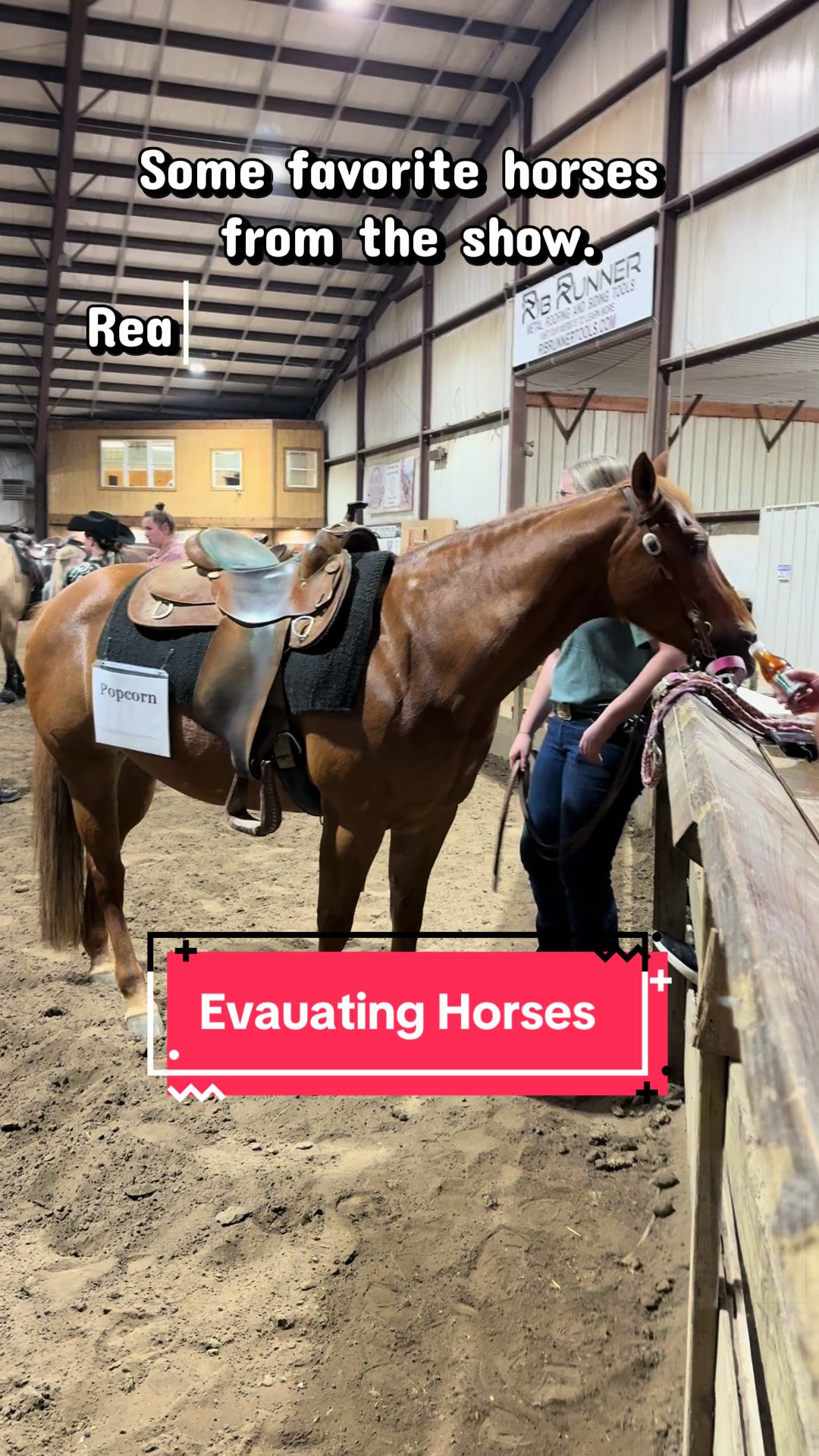 @yourhorseandponyleader