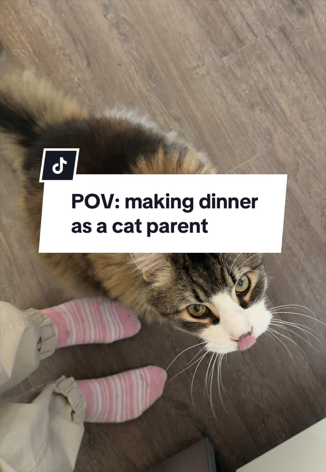 @Tuft & Paw