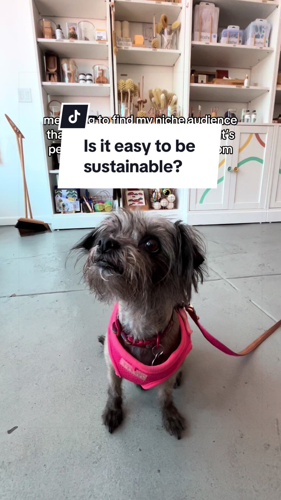 @Sustain LA