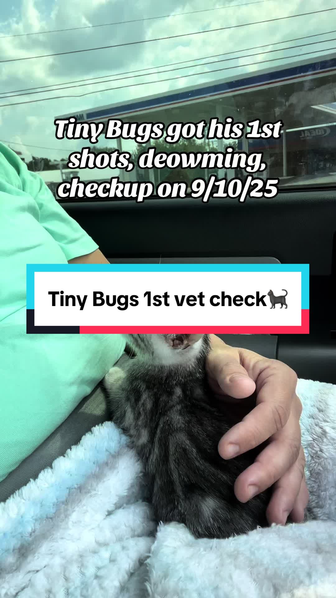 @wonderspotsbengals