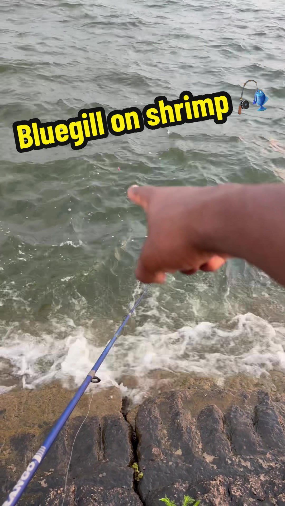 @bayouboy.985