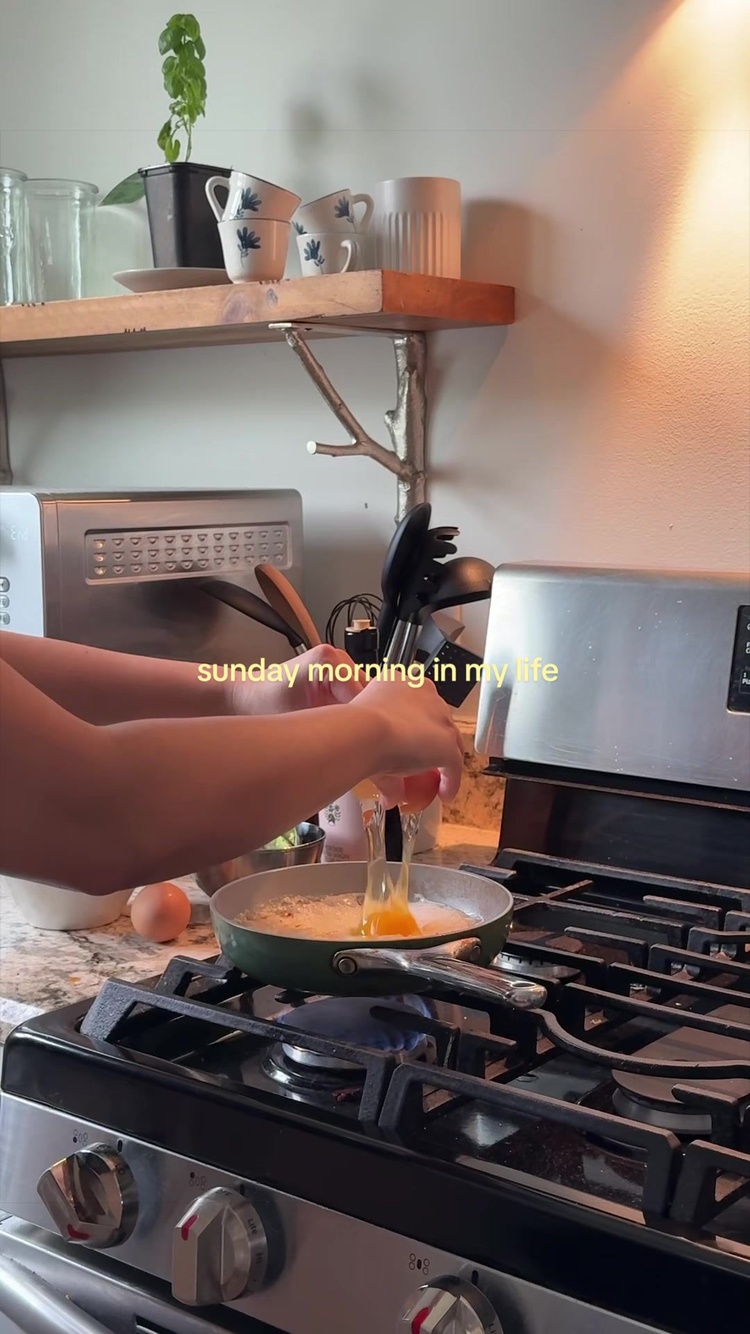 @alysilverio