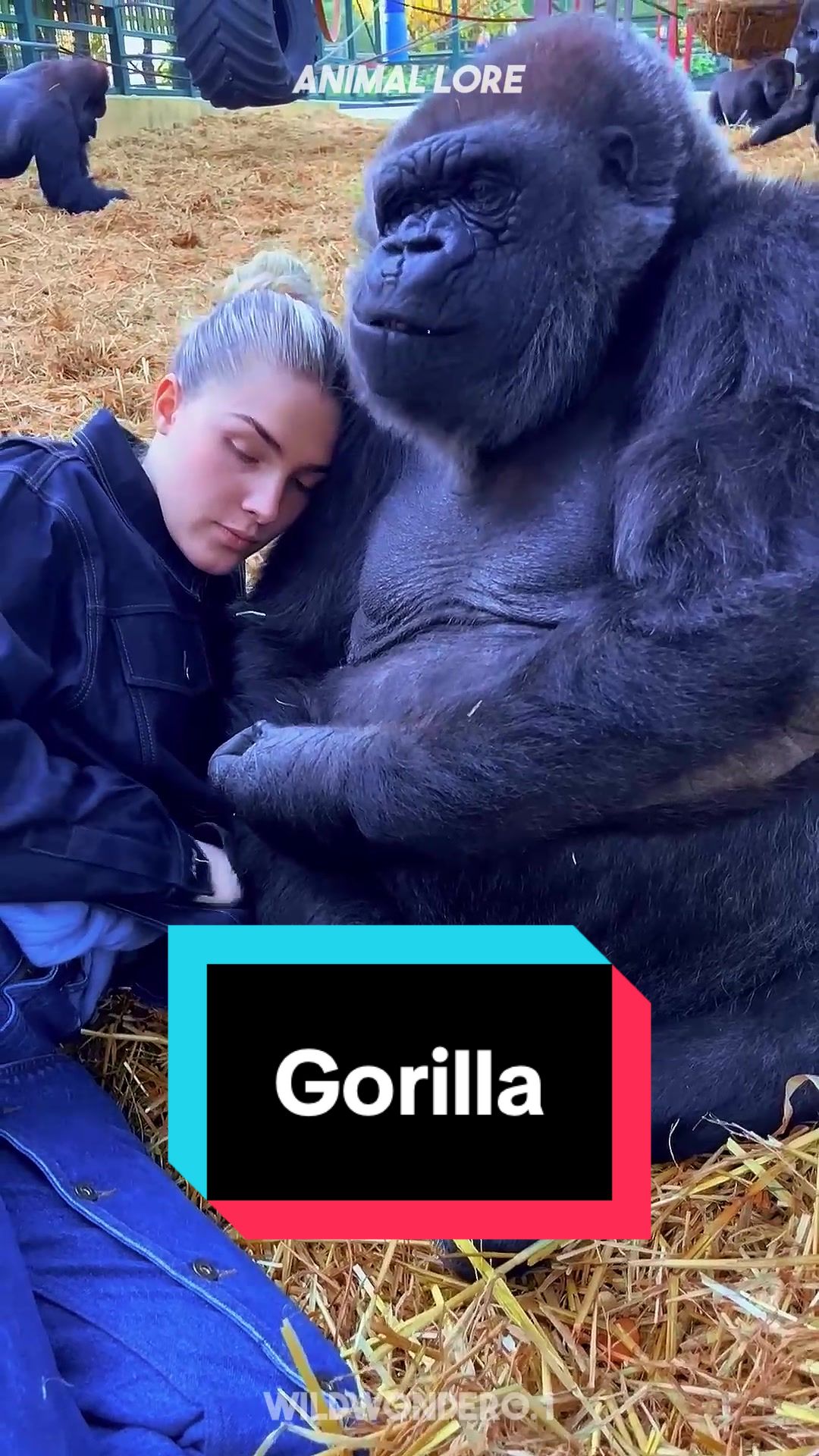 @ANIMAL LORE