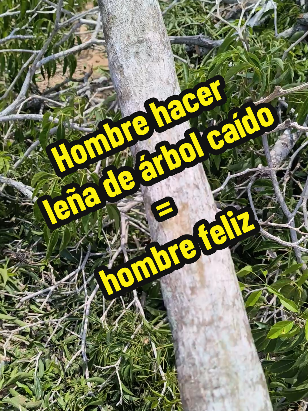 @El Wiicho