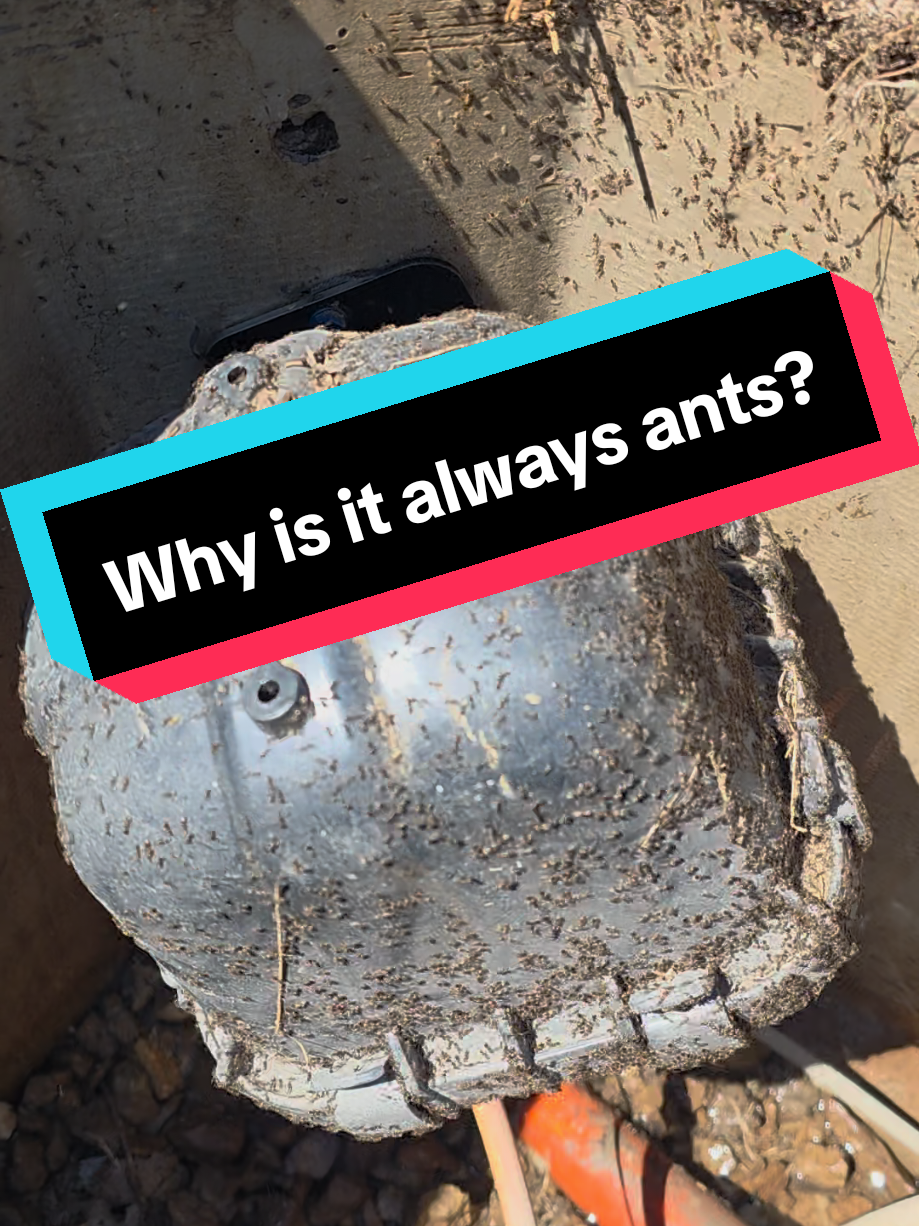 @Pete Thewirelessguy