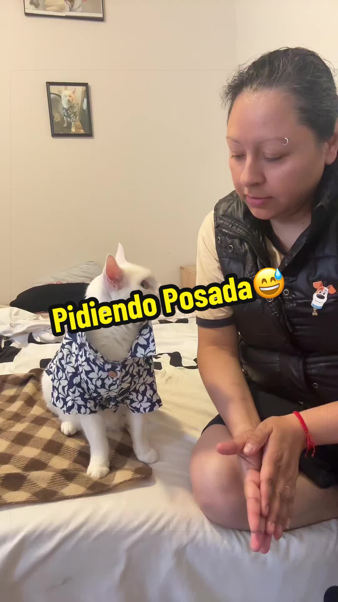 @🦖 MEOWassic World 🌎