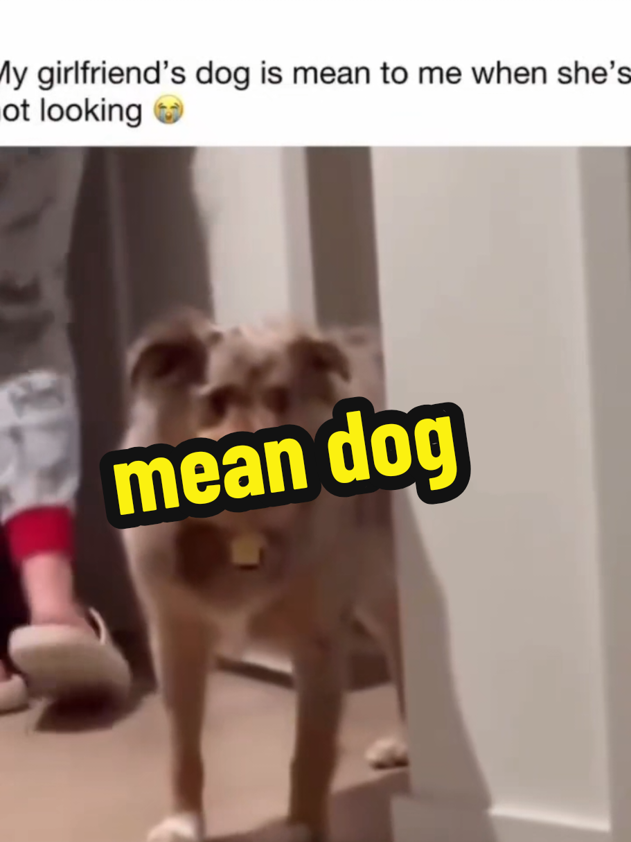 @kingshawn39