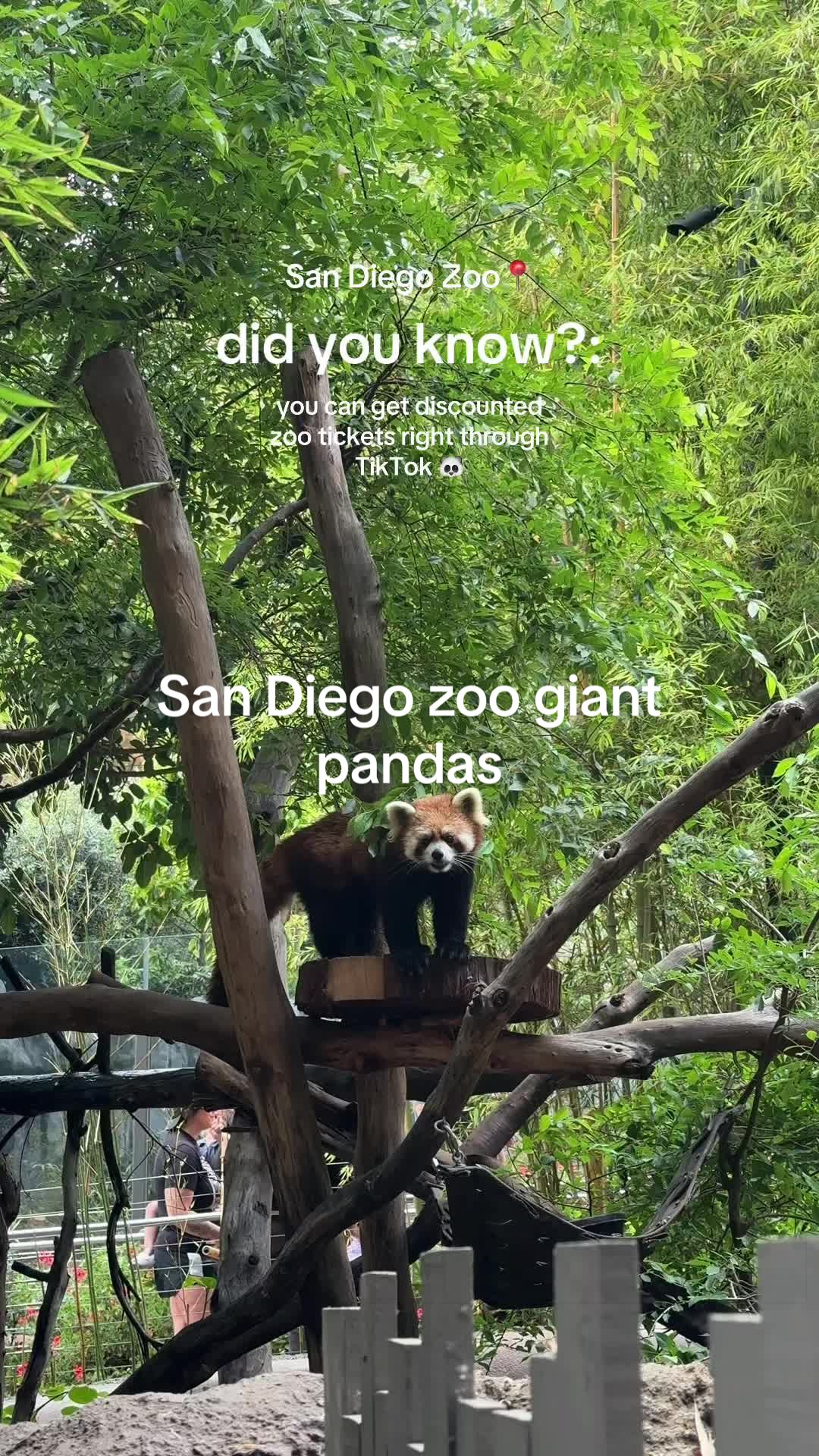 @Ty found it 🏷️