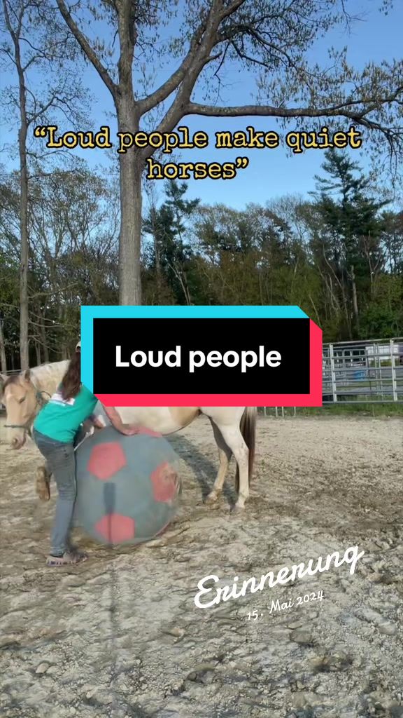@Sandra&rsquo;s pale herd 🐴