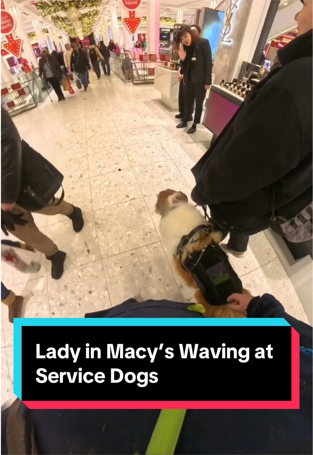 @Dakota & Pups
