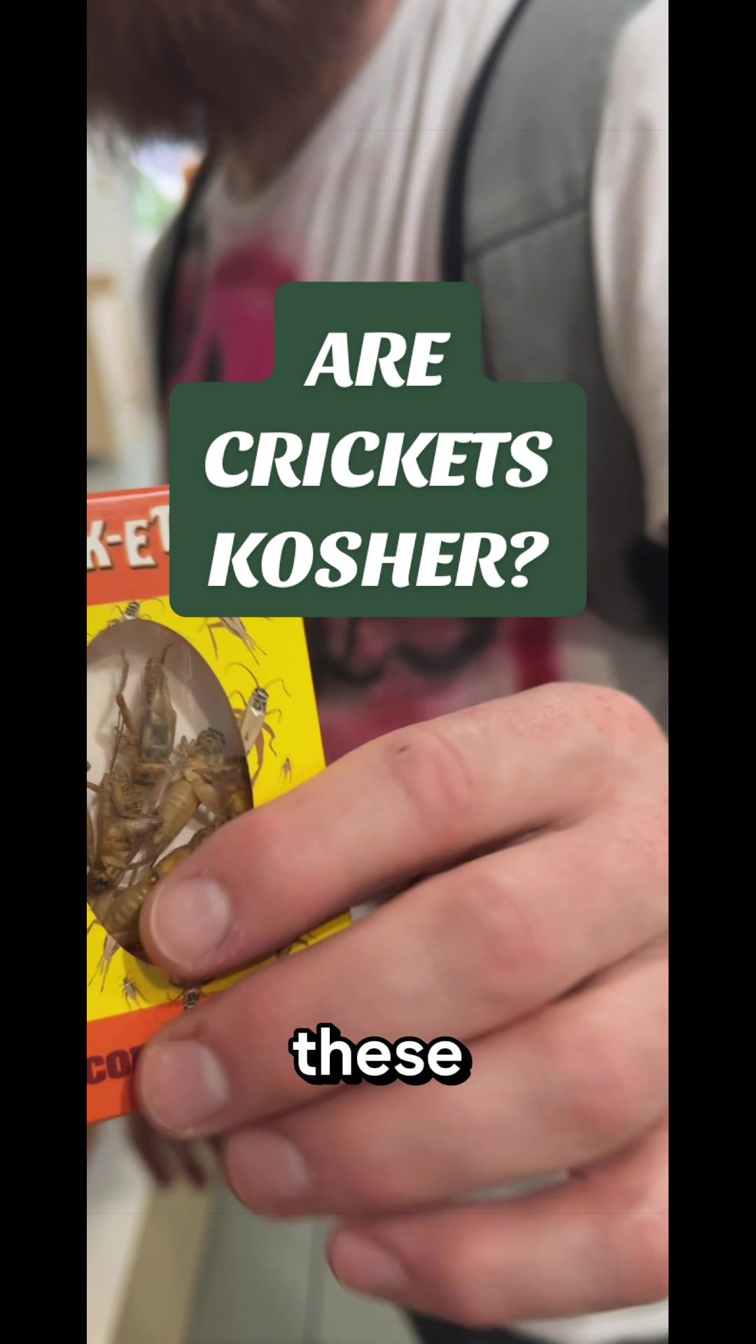 @Moses & Zippora