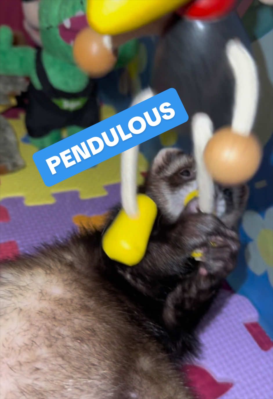 @Veritologic