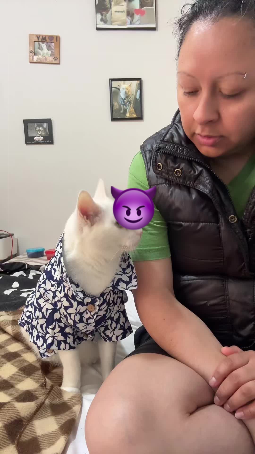 @🦖 MEOWassic CAT😺
