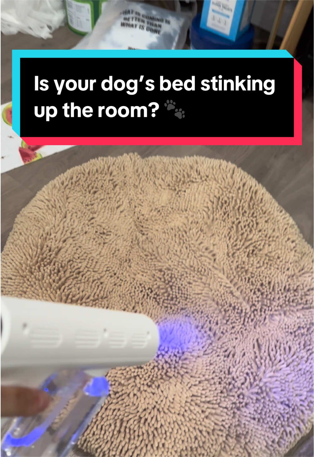 @Trinity 🐶🐾 | Dog Mom Finds