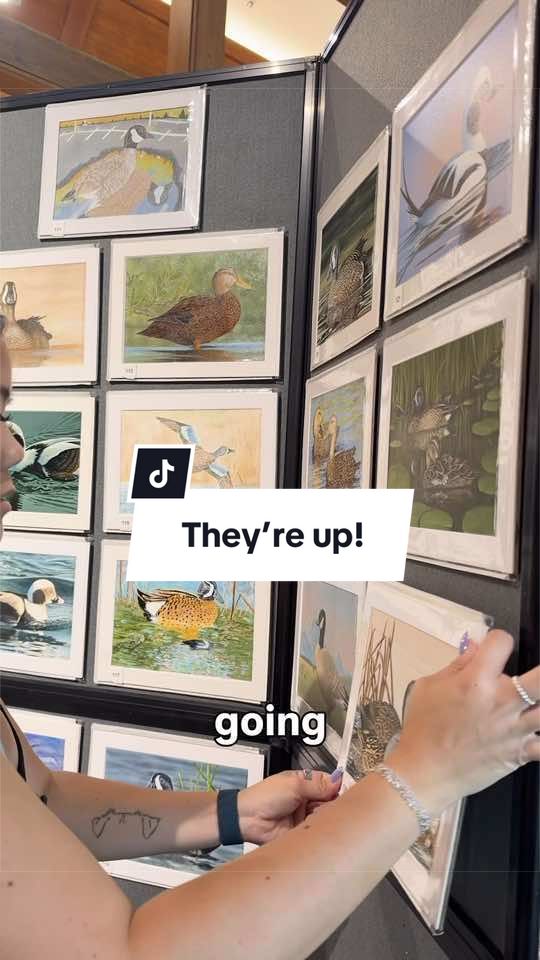 @kira sabin