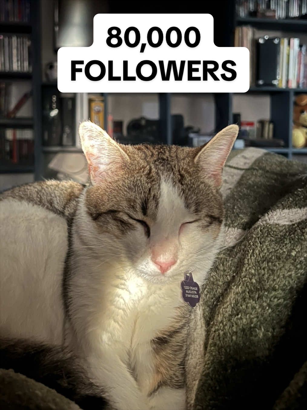 @discount_orlok