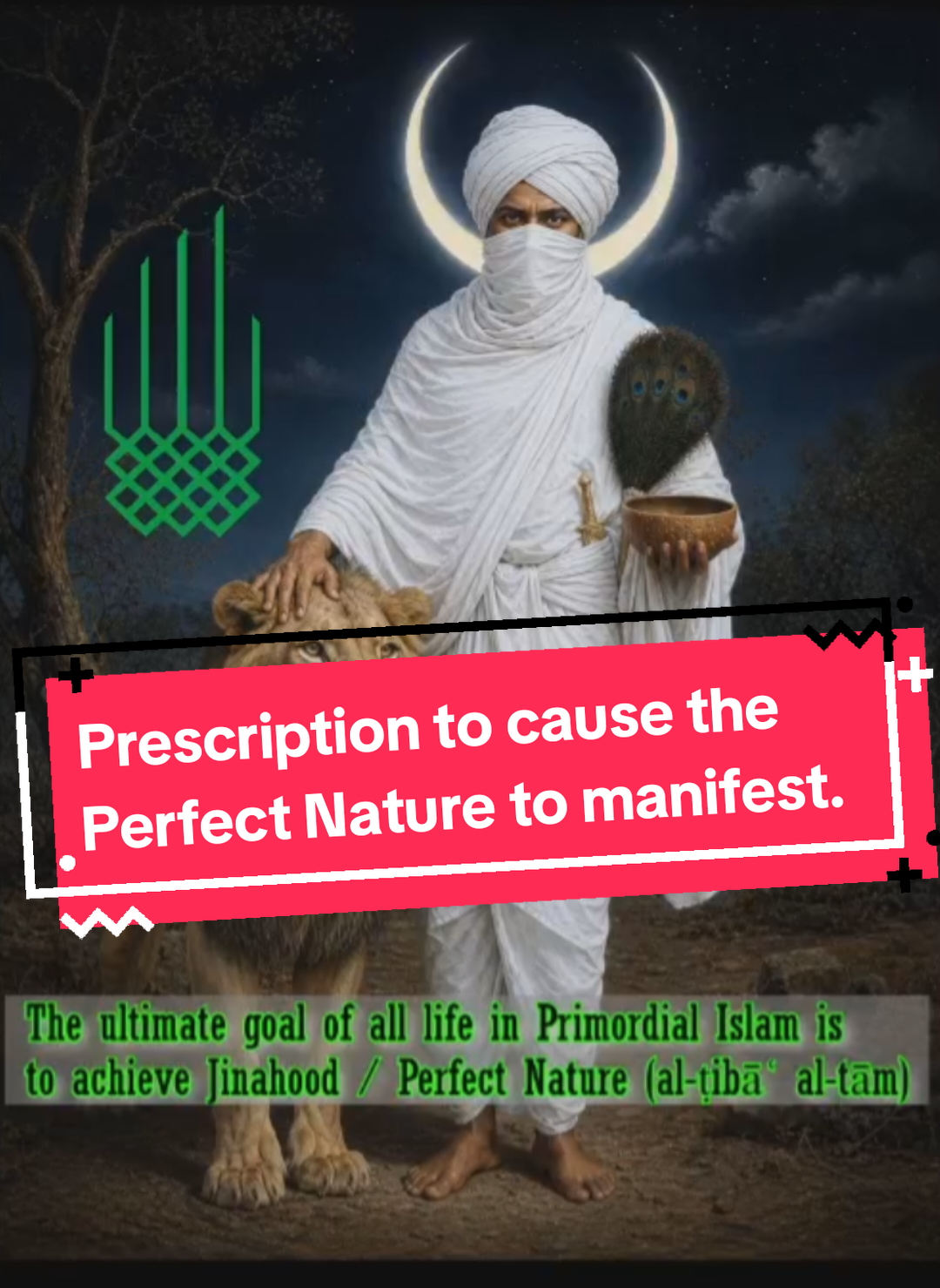 @Muslim Jain 🪬