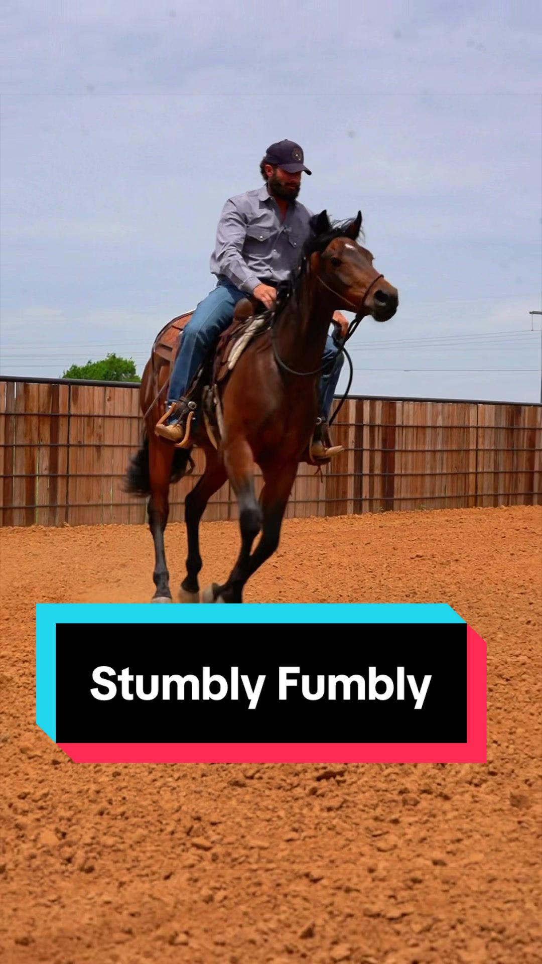 @WS Horses