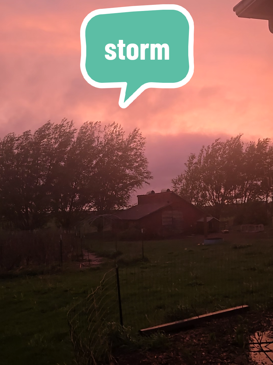 @Kayla | SageWind Farmstead